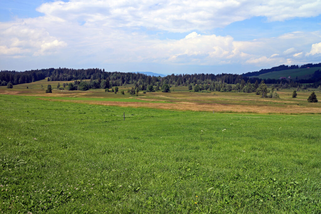Schwantenau, 21.7.2019, Blick von Süden über das Hoochmoor Schwantenau